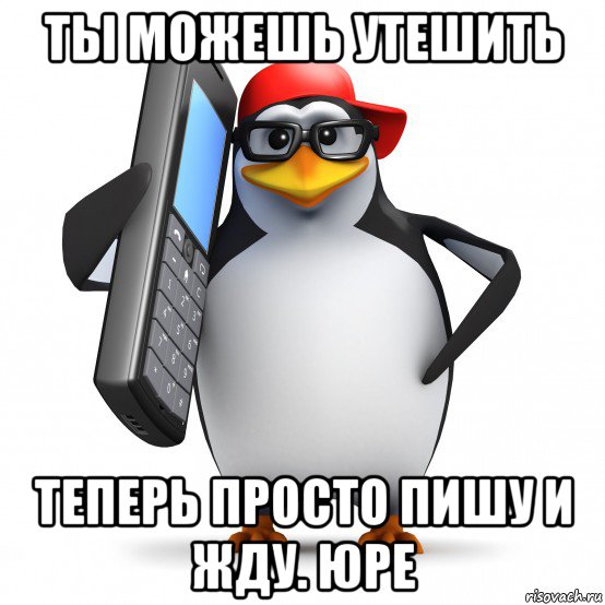 ты можешь утешить теперь просто пишу и жду. юре, Мем   Пингвин звонит