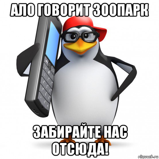 ало говорит зоопарк забирайте нас отсюда!, Мем   Пингвин звонит