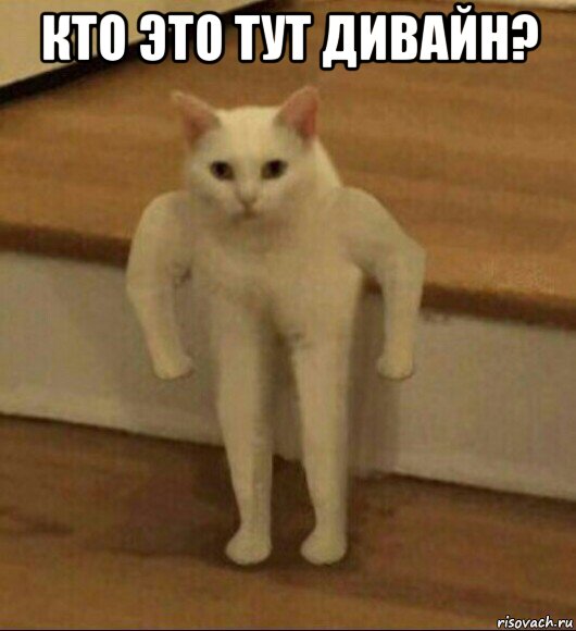 кто это тут дивайн? , Мем  Полукот