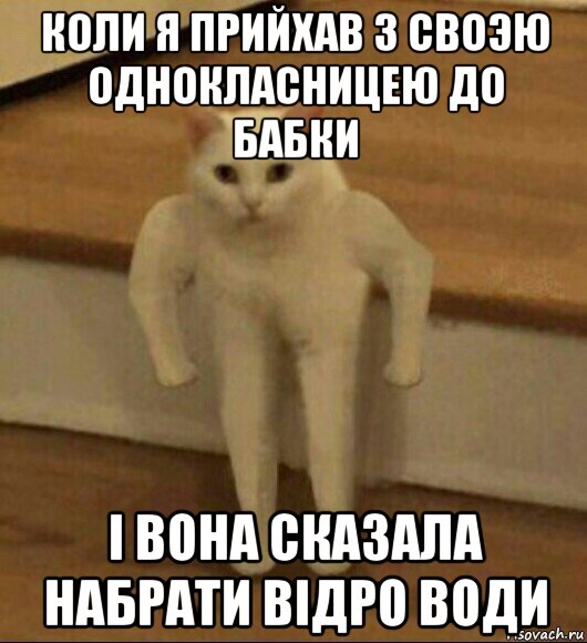 коли я прийхав з своэю однокласницею до бабки і вона сказала набрати відро води, Мем  Полукот