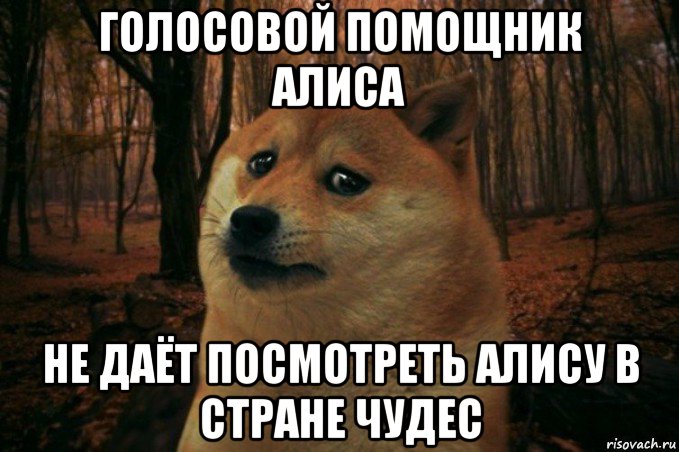 голосовой помощник алиса не даёт посмотреть алису в стране чудес, Мем SAD DOGE