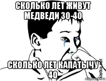 сколько лет живут медведи 30-40 сколько лет капатычу 40, Мем сашок