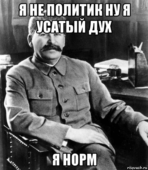 я не политик ну я усатый дух я норм