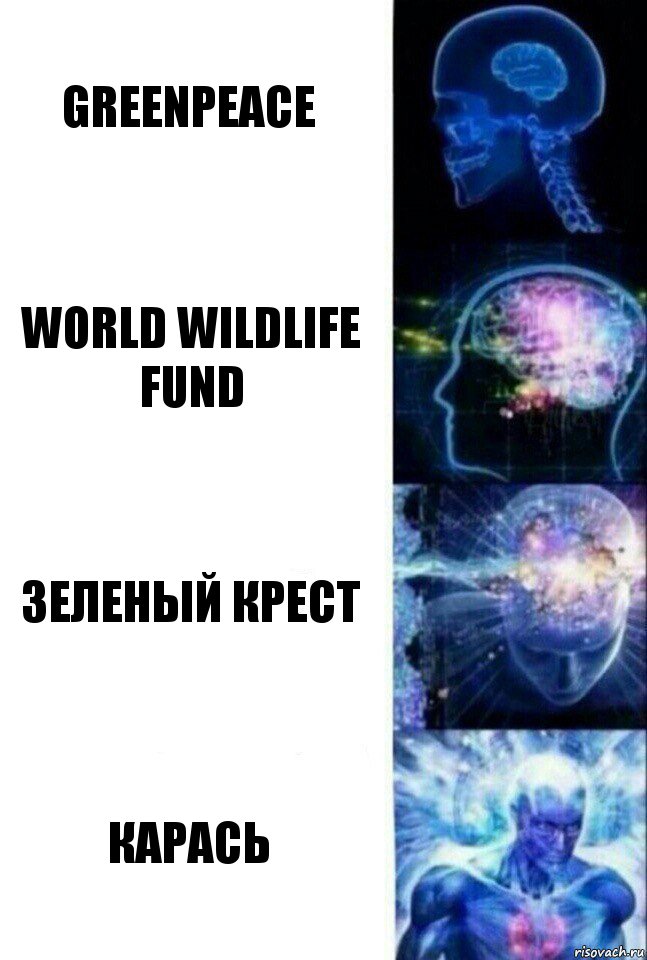 Greenpeace World Wildlife Fund Зеленый крест КАРАСЬ