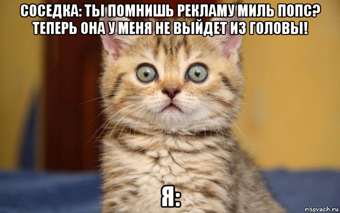 соседка: ты помнишь рекламу миль попс? теперь она у меня не выйдет из головы! я:, Мем  удивление