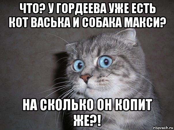 что? у гордеева уже есть кот васька и собака макси? на сколько он копит же?!