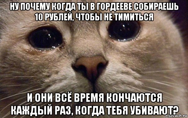 ну почему когда ты в гордееве собираешь 10 рублей, чтобы не тимиться и они всё время кончаются каждый раз, когда тебя убивают?, Мем   В мире грустит один котик