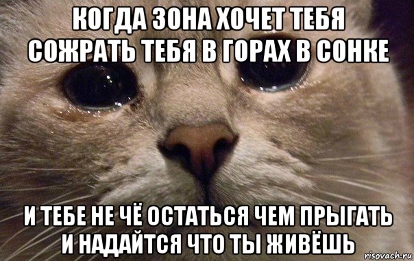 когда зона хочет тебя сожрать тебя в горах в сонке и тебе не чё остаться чем прыгать и надайтся что ты живёшь