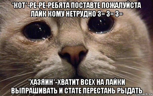 *кот*-ре-ре-ребята поставте пожалуйста лайк кому нетрудно 3= 3= 3= *хазяин*-хватит всех на лайки выпрашивать и стате перестань рыдать, Мем   В мире грустит один котик