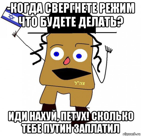 -когда свергнете режим что будете делать? иди нахуй, петух! сколько тебе путин заплатил