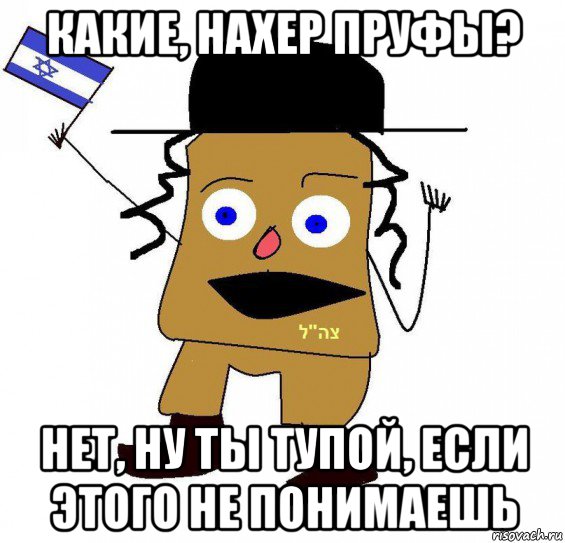 какие, нахер пруфы? нет, ну ты тупой, если этого не понимаешь, Мем  ватник сионист