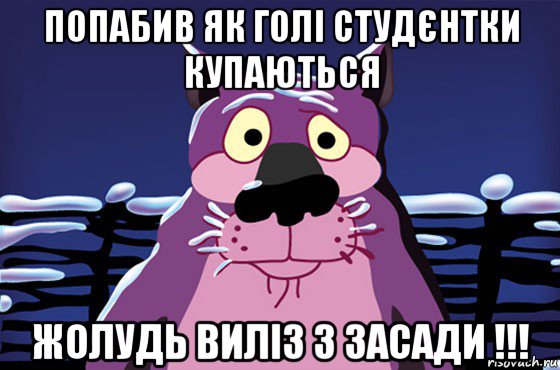 попабив як голі студєнтки купаються жолудь виліз з засади !!!, Мем Волк