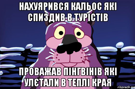 нахуярився кальос які спиздив в турістів проважав пінгвінів які улєтали в теплі края, Мем Волк