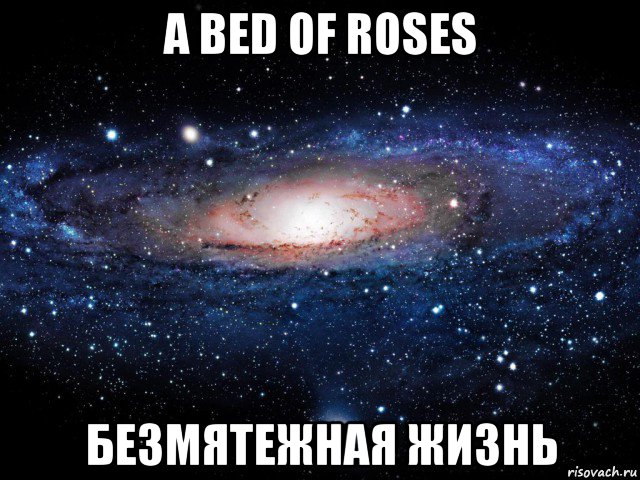 a bed of roses безмятежная жизнь