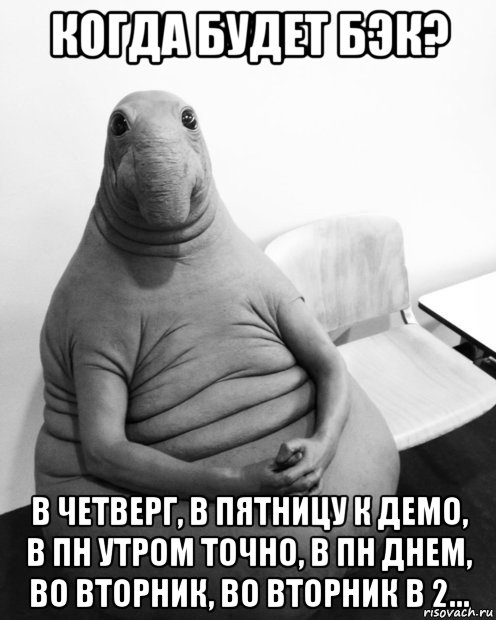 когда будет бэк? в четверг, в пятницу к демо, в пн утром точно, в пн днем, во вторник, во вторник в 2..., Мем  Ждун