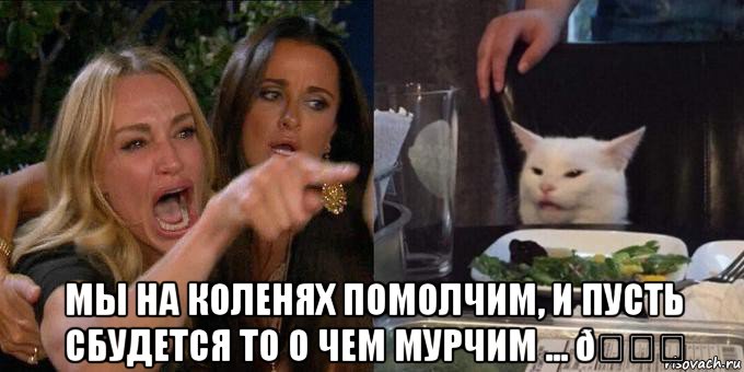 Мем Женщина орёт на кота