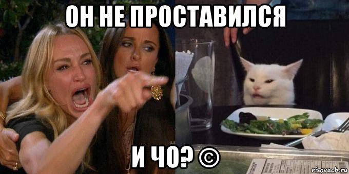 он не проставился и чо? ©, Мем Женщина орёт на кота