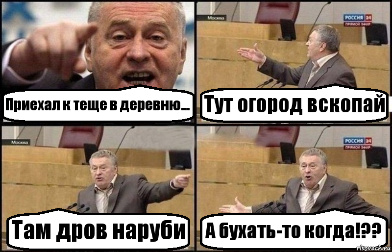 Приехал к теще в деревню... Тут огород вскопай Там дров наруби А бухать-то когда!??, Комикс Жириновский