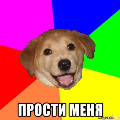  прости меня, Мем Advice Dog