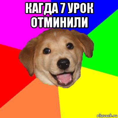 кагда 7 урок отминили , Мем Advice Dog