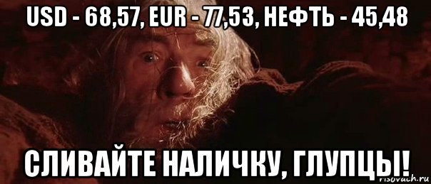 usd - 68,57, eur - 77,53, нефть - 45,48 сливайте наличку, глупцы!, Мем бегите глупцы