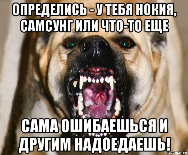 определись - у тебя нокия, самсунг или что-то еще сама ошибаешься и другим надоедаешь!, Мем бешеная собака