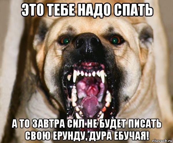 это тебе надо спать а то завтра сил не будет писать свою ерунду, дура ебучая!