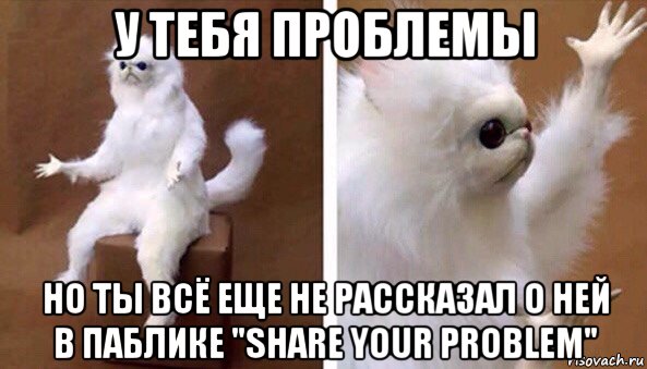 у тебя проблемы но ты всё еще не рассказал о ней в паблике "share your problem", Мем Чучело кота