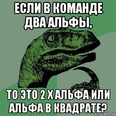 если в команде два альфы, то это 2 х альфа или альфа в квадрате?, Мем Филосораптор