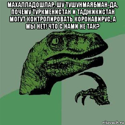 махалладошлар, шу тушунмаябман-да, почему туркменистан и таджикистан могут контролировать коронавирус, а мы нет! что с нами не так? , Мем Филосораптор