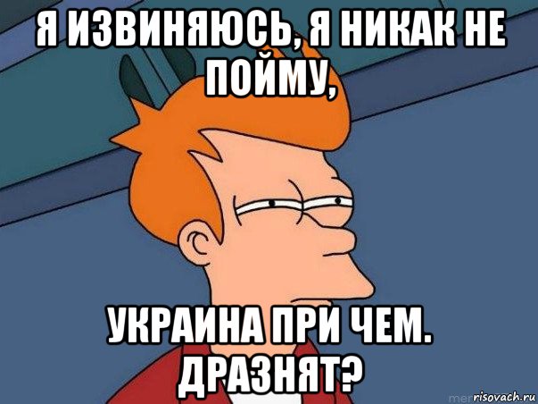 я извиняюсь, я никак не пойму, украина при чем. дразнят?, Мем  Фрай (мне кажется или)