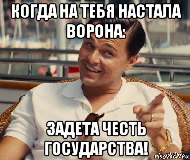 когда на тебя настала ворона: задета честь государства!, Мем Хитрый Гэтсби