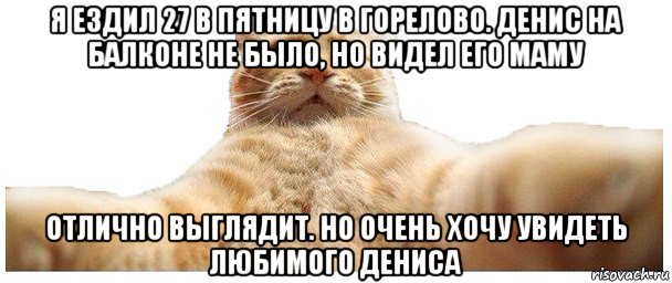 я ездил 27 в пятницу в горелово. денис на балконе не было, но видел его маму отлично выглядит. но очень хочу увидеть любимого дениса, Мем   Кэтсвилл