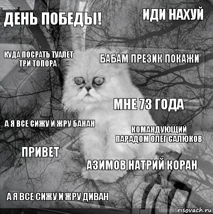 День Победы! Командующий Парадом Олег Салюков Бабам Презик Покажи А Я Все Сижу И Жру Диван А Я Все Сижу И Жру Банан Иди Нахуй Азимов Натрий Коран Куда Посрать Туалет Три Топора Привет Мне 73 Года, Комикс  кот безысходность