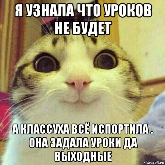 я узнала что уроков не будет а классуха всё испортила . она задала уроки да выходные, Мем       Котяка-улыбака