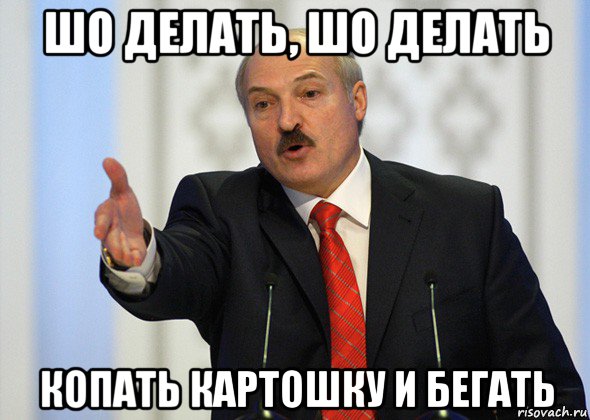 шо делать, шо делать копать картошку и бегать, Мем лукашенко