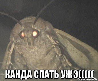  канда спать ужэ(((((, Мем Матылёк