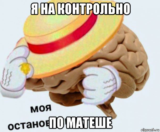 я на контрольно по матеше, Мем   Моя остановочка мозг