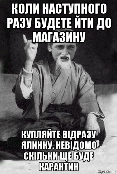 коли наступного разу будете йти до магазину купляйте відразу ялинку, невідомо скільки ще буде карантин, Мем Мудрий паца