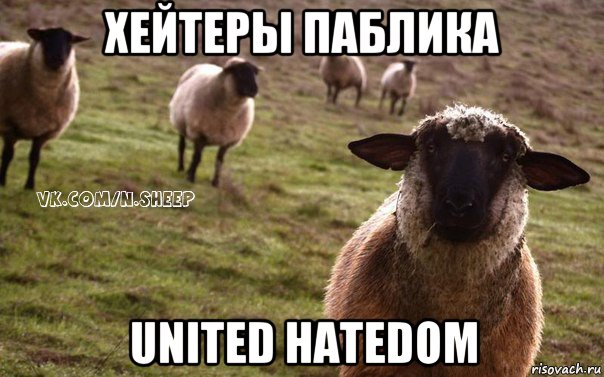 хейтеры паблика united hatedom