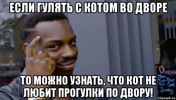 если гулять с котом во дворе то можно узнать, что кот не любит прогулки по двору!