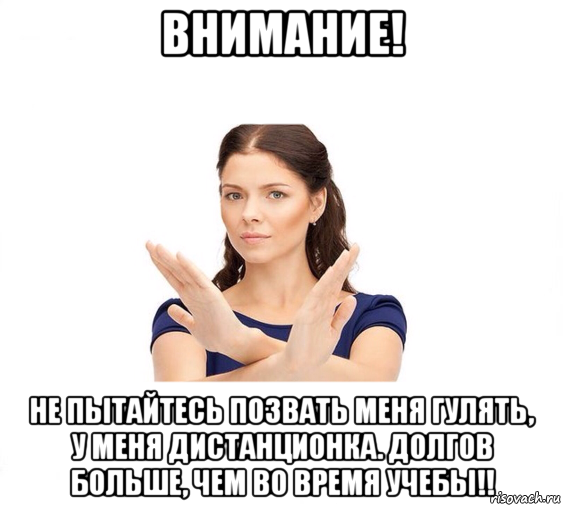 внимание! не пытайтесь позвать меня гулять, у меня дистанционка. долгов больше, чем во время учебы!!, Мем Не зовите