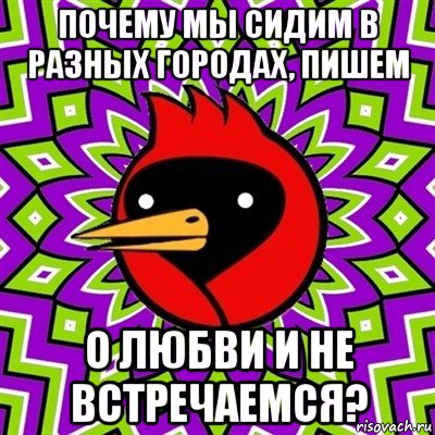 почему мы сидим в разных городах, пишем о любви и не встречаемся?, Мем Омская птица