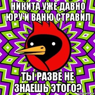 никита уже давно юру и ваню стравил ты разве не знаешь этого?, Мем Омская птица