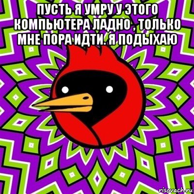 пусть я умру у этого компьютера ладно , только мне пора идти. я подыхаю , Мем Омская птица