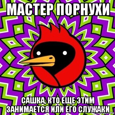 мастер порнухи сашка, кто еще этим занимается или его служаки, Мем Омская птица