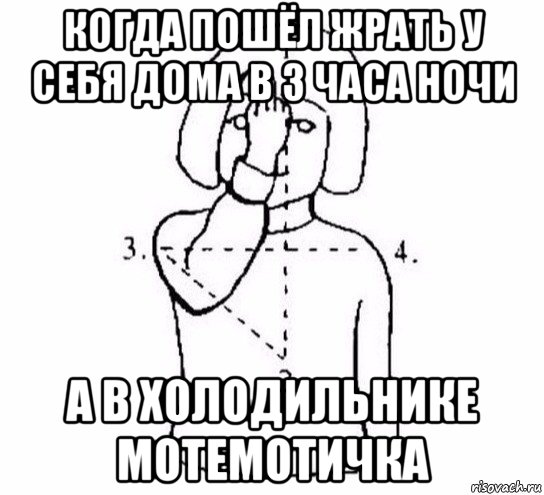 когда пошёл жрать у себя дома в 3 часа ночи а в холодильнике мотемотичка