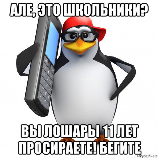 але, это школьники? вы лошары 11 лет просираете! бегите, Мем   Пингвин звонит