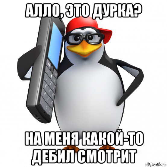 алло, это дурка? на меня какой-то дебил смотрит, Мем   Пингвин звонит