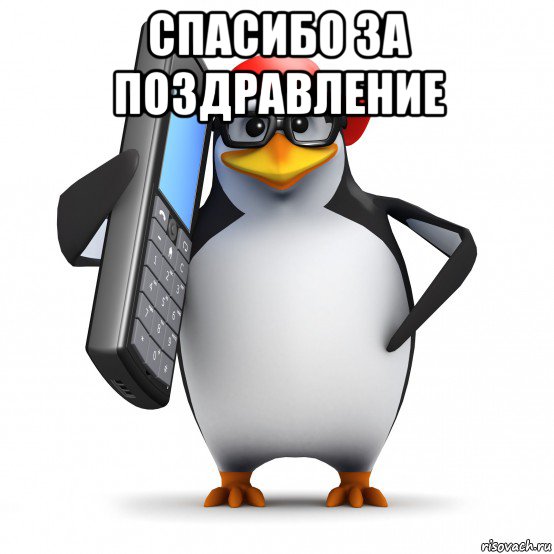 спасибо за поздравление , Мем   Пингвин звонит